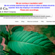 A reputable kratom distributor advertising a full liquidation. Image: Healthbodyandmindcompany.com.